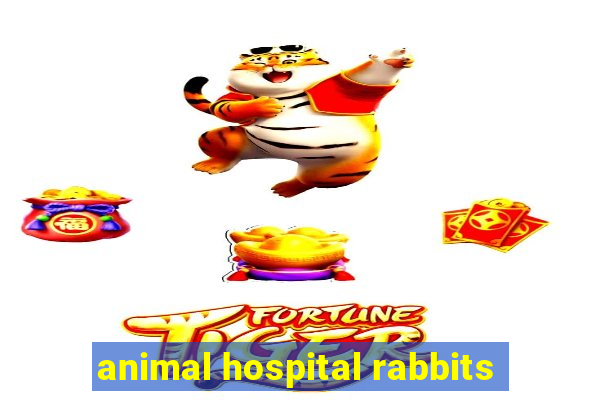 animal hospital rabbits